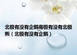 北极有没有企鹅南极有没有北极熊（北极有没有企鹅）