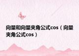 向量和向量夹角公式cos（向量夹角公式cos）