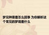 梦见种菜是怎么回事 为你解析这个常见的梦境是什么