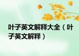 叶子英文解释大全（叶子英文解释）