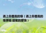 遇上你是我的缘（遇上你是我的缘原唱 甜蜜的爱情）