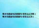 啄木鸟是益鸟还是害鸟 你怎么认为呢（啄木鸟是益鸟还是害鸟 你怎么认为）