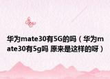 华为mate30有5G的吗（华为mate30有5g吗 原来是这样的呀）