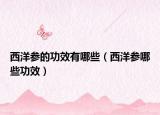 西洋参的功效有哪些（西洋参哪些功效）