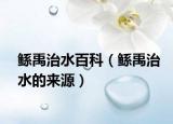 鲧禹治水百科（鲧禹治水的来源）