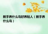 新手养什么鸟好养粘人（新手养什么鸟）