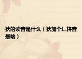 狄的读音是什么（狄加个辶拼音是啥）
