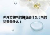 凤尾竹的凤的拼音是什么（凤的拼音是什么）