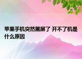 苹果手机突然黑屏了 开不了机是什么原因