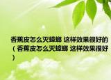香蕉皮怎么灭蟑螂 这样效果很好的（香蕉皮怎么灭蟑螂 这样效果很好）