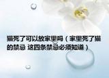猫死了可以放家里吗（家里死了猫的禁忌 这四条禁忌必须知道）