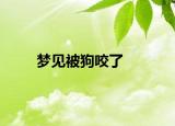 梦见被狗咬了
