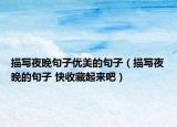 描写夜晚句子优美的句子（描写夜晚的句子 快收藏起来吧）
