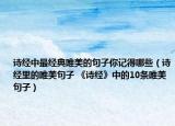 诗经中最经典唯美的句子你记得哪些（诗经里的唯美句子 《诗经》中的10条唯美句子）