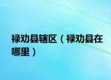 禄劝县辖区（禄劝县在哪里）