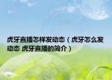 虎牙直播怎样发动态（虎牙怎么发动态 虎牙直播的简介）