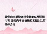 龚俊向丰巢快递柜索赔101万详细内容 龚俊向丰巢快递柜索赔101万具体介绍
