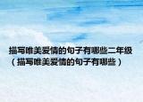描写唯美爱情的句子有哪些二年级（描写唯美爱情的句子有哪些）