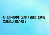 纷飞小雨中什么歌（雨纷飞原唱 简单给大家介绍）