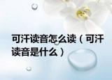可汗读音怎么读（可汗读音是什么）