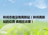 林州市有没有高铁站（林州高铁站的位置 真相在这里）