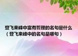 登飞来峰中富有哲理的名句是什么（登飞来峰中的名句是哪句）