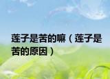 莲子是苦的嘛（莲子是苦的原因）
