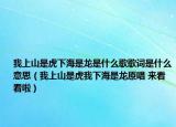 我上山是虎下海是龙是什么歌歌词是什么意思（我上山是虎我下海是龙原唱 来看看啦）