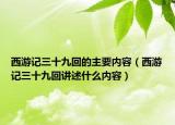 西游记三十九回的主要内容（西游记三十九回讲述什么内容）