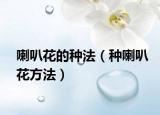 喇叭花的种法（种喇叭花方法）