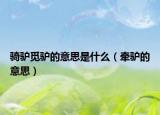 骑驴觅驴的意思是什么（牵驴的意思）