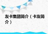 友卡集团简介（卡友简介）