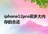 iphone12pro买多大内存的合适