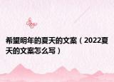 希望明年的夏天的文案（2022夏天的文案怎么写）