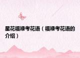 星花福禄考花语（福禄考花语的介绍）