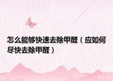 怎么能够快速去除甲醛（应如何尽快去除甲醛）