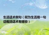 生活话术例句（何为生活用一句话概括话术有哪些）