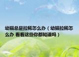 幼猫总是拉稀怎么办（幼猫拉稀怎么办 看看这些你都知道吗）