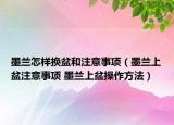 墨兰怎样换盆和注意事项（墨兰上盆注意事项 墨兰上盆操作方法）