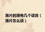 薄片的薄有几个读音（薄片怎么读）