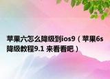 苹果六怎么降级到ios9（苹果6s降级教程9.1 来看看吧）
