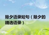 除夕语录短句（除夕的精选语录）