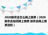 2020新农合怎么网上缴费（2020新农合如何网上缴费 新农合网上缴费流程）