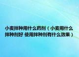 小麦拌种用什么药剂（小麦用什么拌种剂好 使用拌种剂有什么效果）