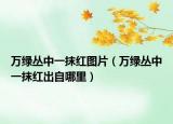 万绿丛中一抹红图片（万绿丛中一抹红出自哪里）