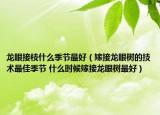 龙眼接枝什么季节最好（嫁接龙眼树的技术最佳季节 什么时候嫁接龙眼树最好）
