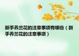 新手养兰花的注意事项有哪些（新手养兰花的注意事项）