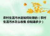 农村生活污水是如何处理的（农村生活污水怎么收集 你知道多少）
