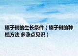 榛子树的生长条件（榛子树的种植方法 多涨点见识）