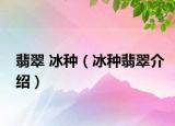 翡翠 冰种（冰种翡翠介绍）